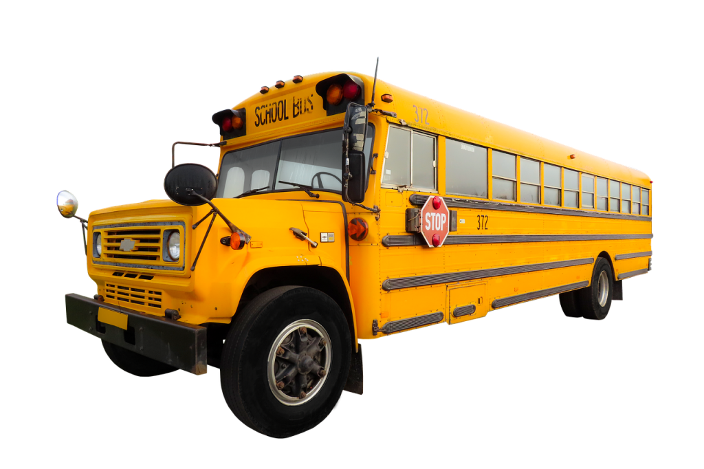 transport, traffic, vehicle, bus, school bus, america, back to school, security, yellow, isolated, bus, school bus, school bus, school bus, school bus, school bus