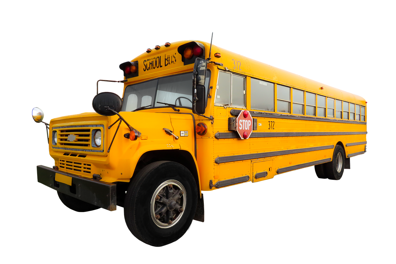 transport, traffic, vehicle, bus, school bus, america, back to school, security, yellow, isolated, bus, school bus, school bus, school bus, school bus, school bus